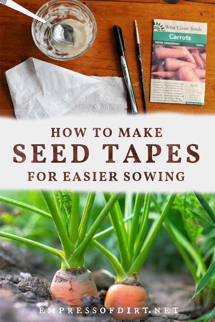 How to Make Seed Tapes for Easier Sowing — Empress of Dirt
