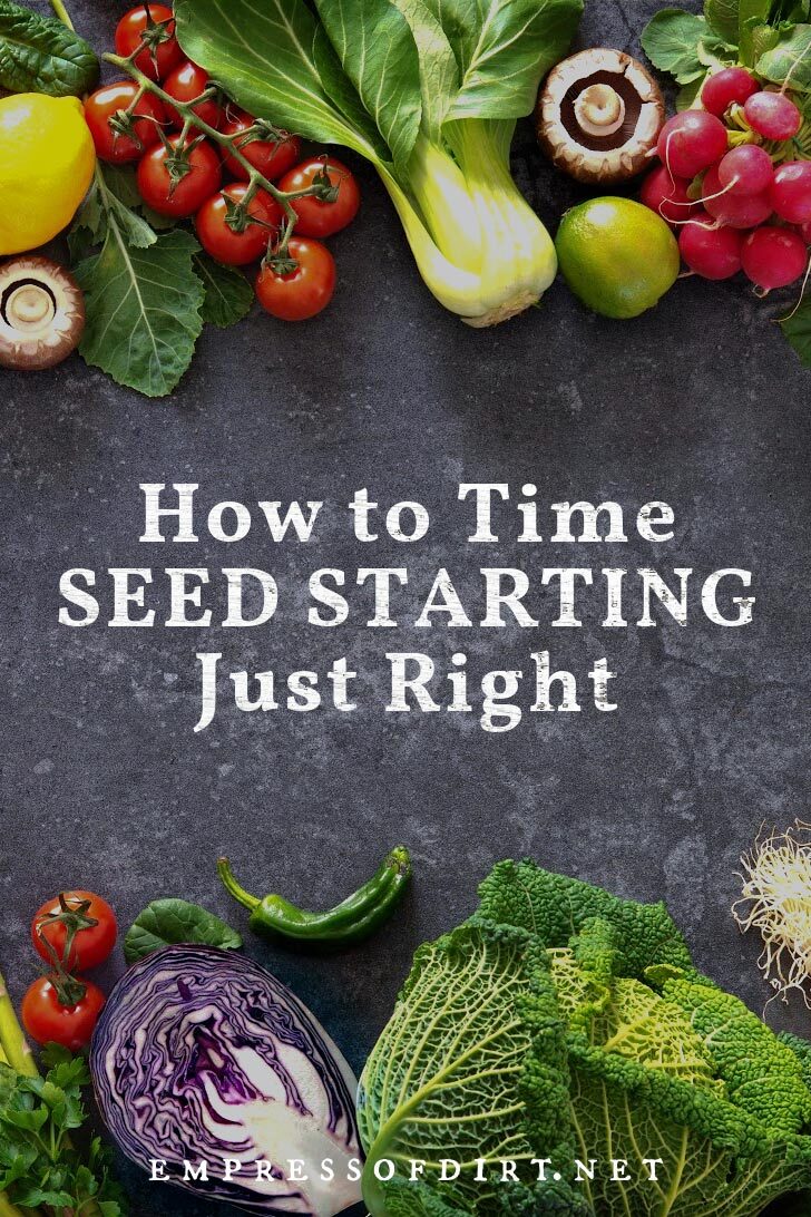How to Time Your Indoor Seed Sowing Just Right An assortment of freshly harvested vegetables.
