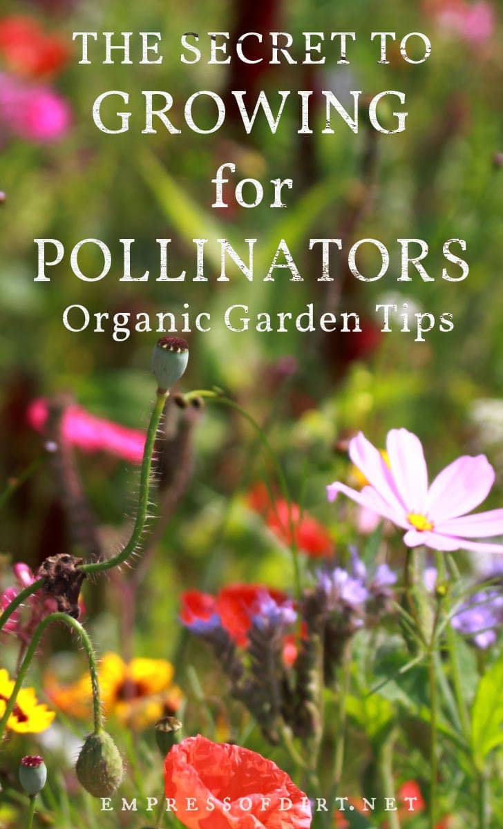 Growing a variety of flowering plants to support a variety of pollinators.