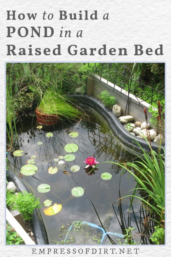 How to Build a Pond in a Raised Garden Bed — Empress of Dirt