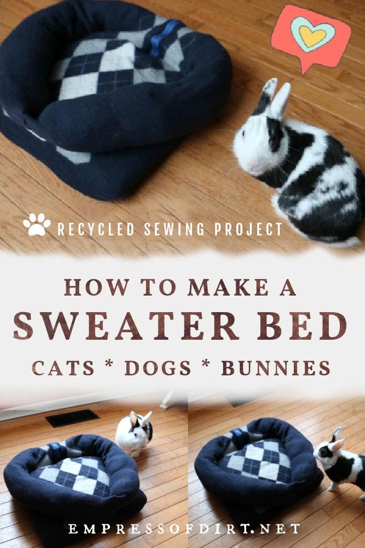 Make a Sweater Pet Bed for Dogs, Cats, and Bunnies — Empress of Dirt