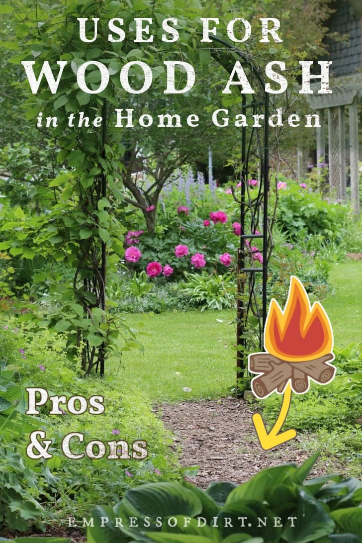 Using Wood Ash in the Garden Pros & Cons — Empress of Dirt