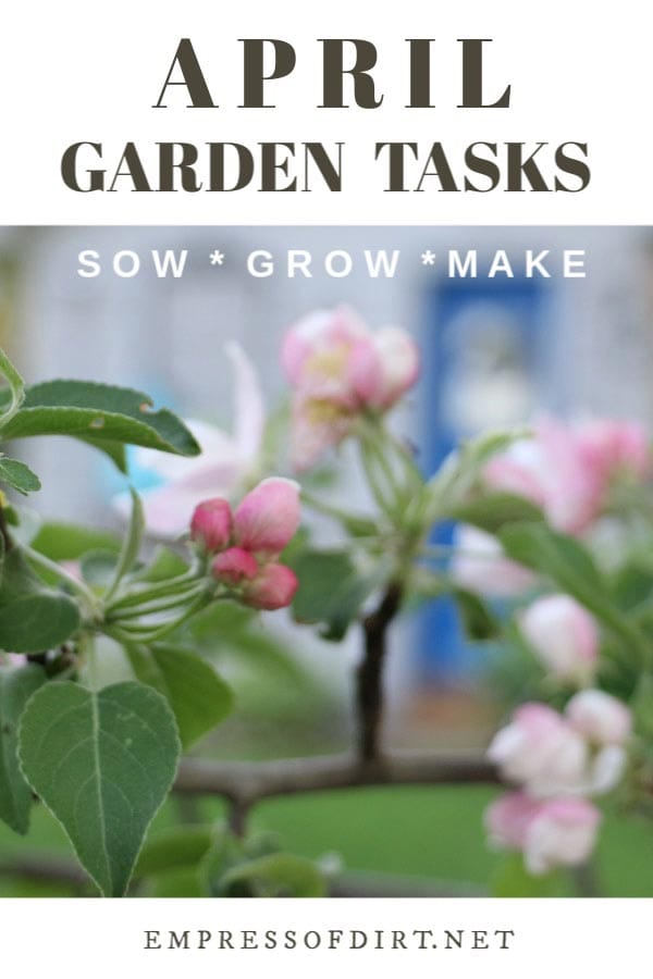April garden tasks with Empress of Dirt