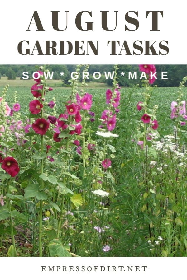 August garden tasks.