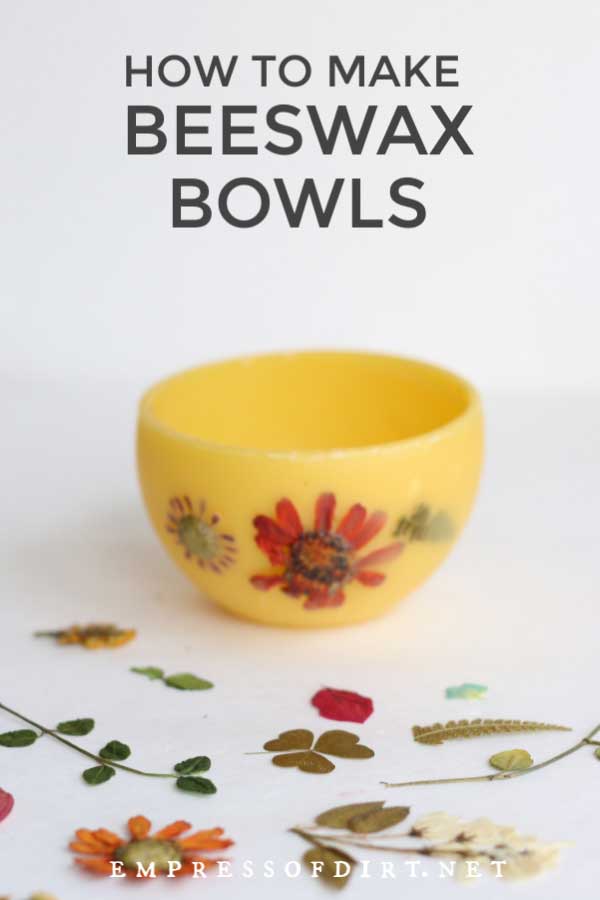 How to Make Beeswax Bowls (Craft Tutorial) Empress of Dirt