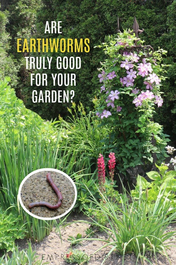 Are earthworms truly good for our gardens? Find out what scientific research says.