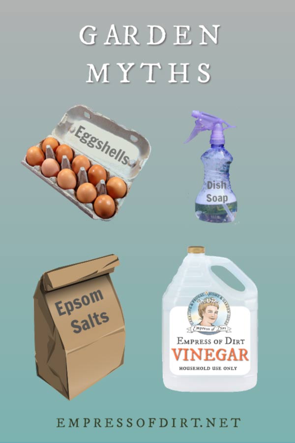 Popular garden myths we've all fallen for.