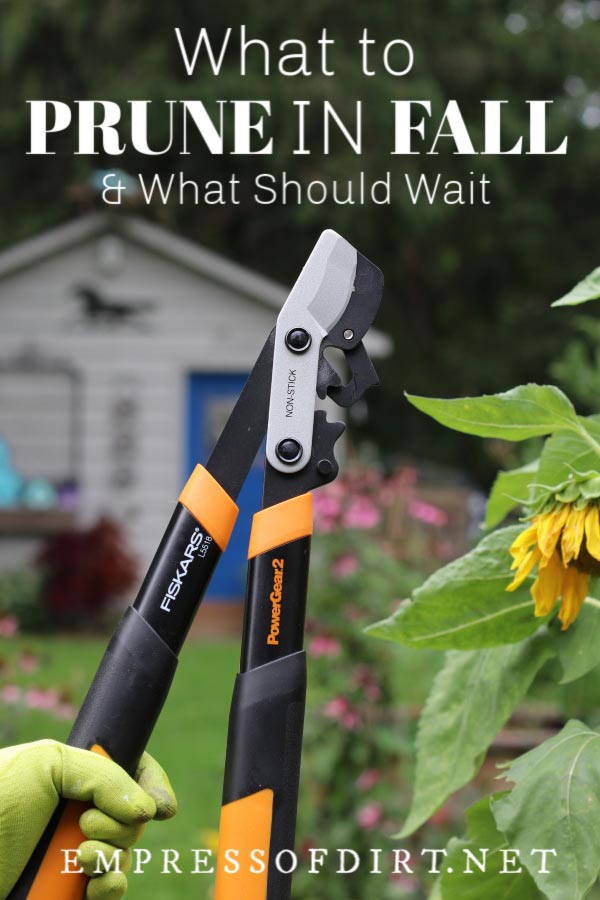 Garden loppers for pruning shrubs, trees, and vines.