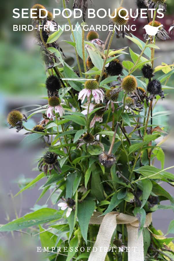 Seed pod bouquet for winter birds in the garden.