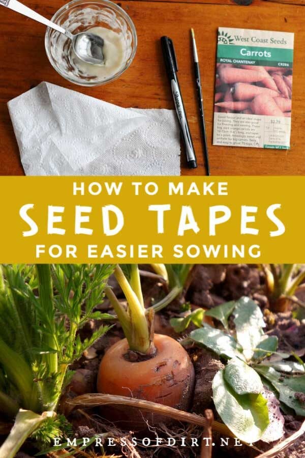 How to Make Seed Tapes for Easier Sowing Empress of Dirt