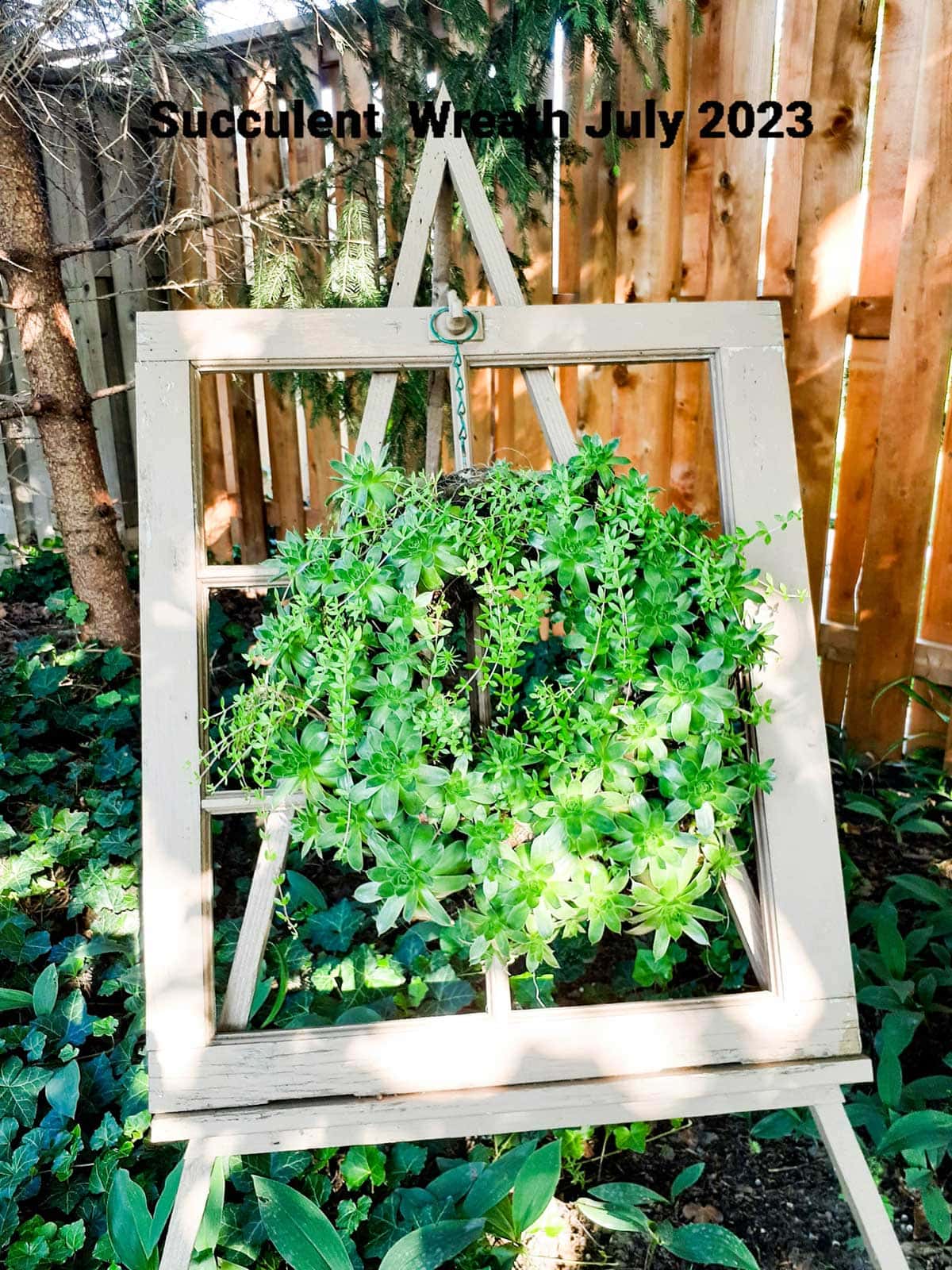 Garden art easel with succulents