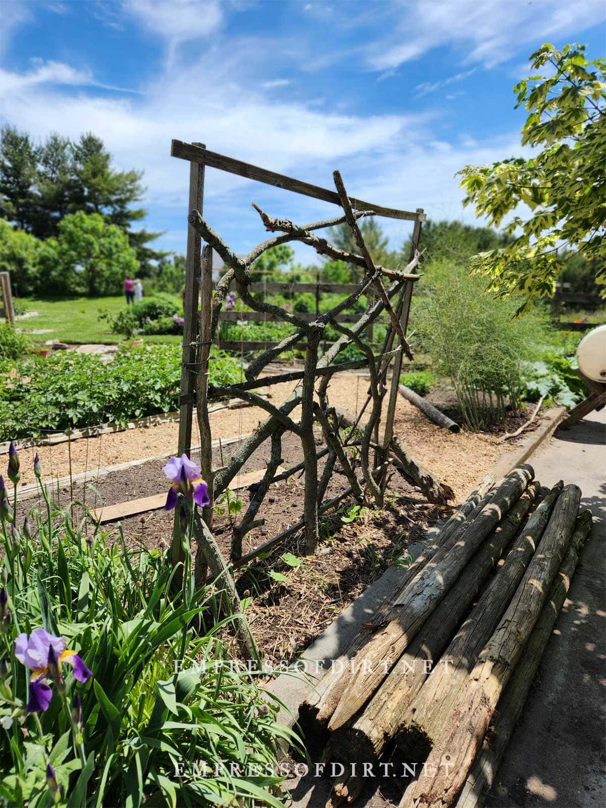 Rustic wooden garden trellis