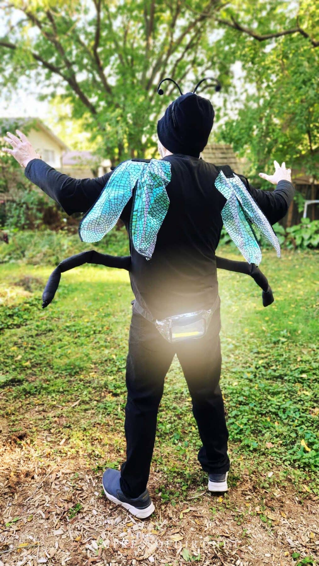 Back of firefly costume showing extra arms, wings, and glow pouch.