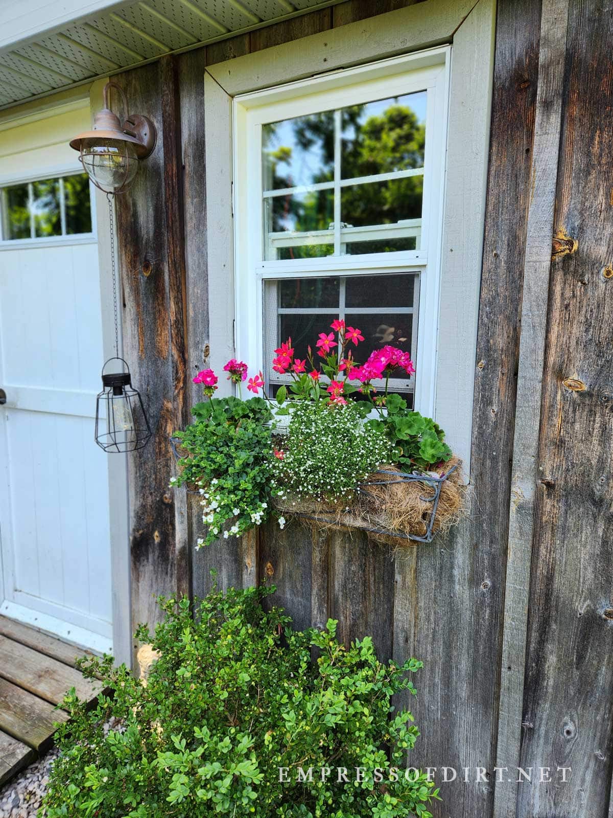 Garden shed window box with pink flowers.