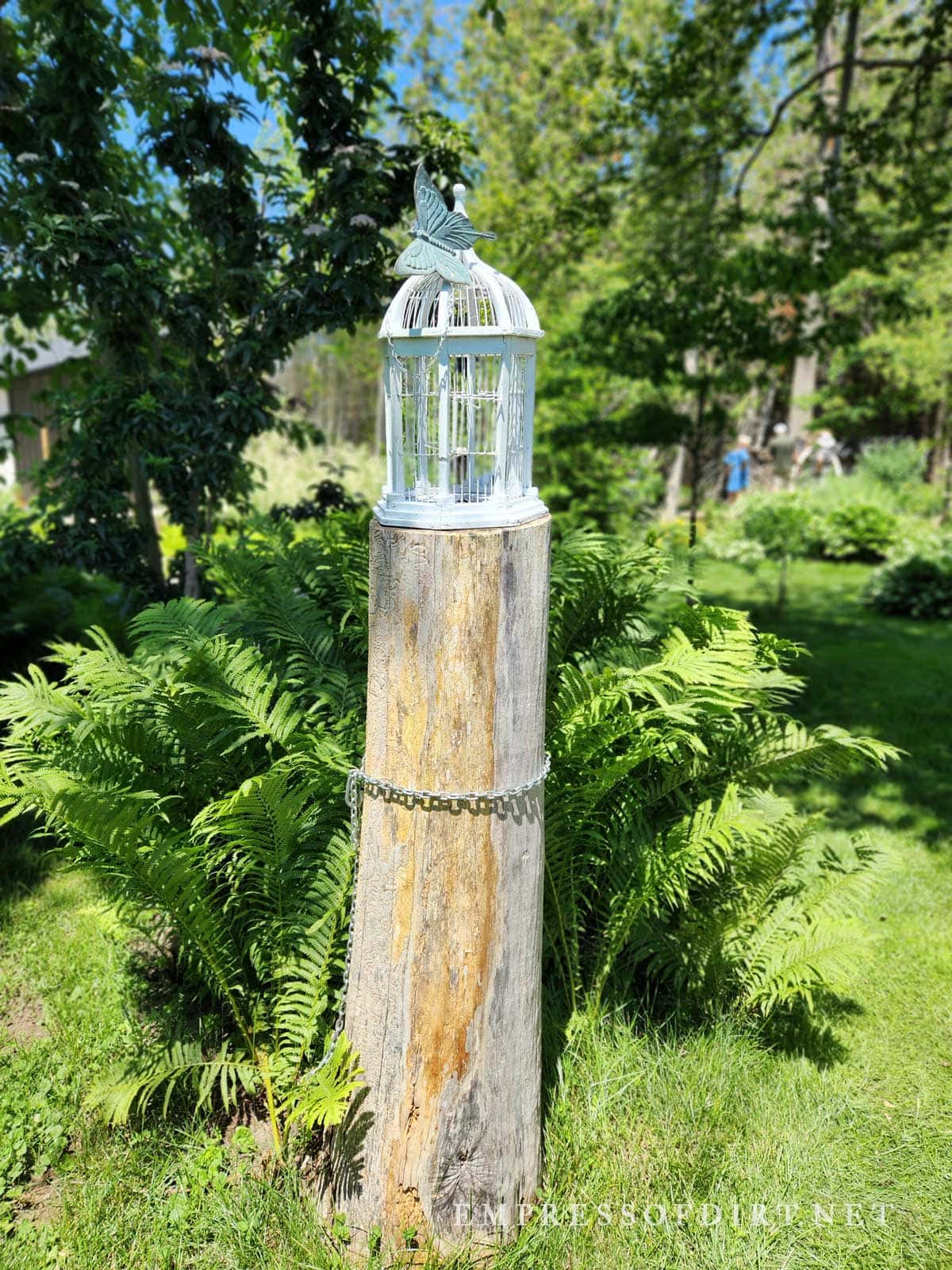 Tree stump with birdcage