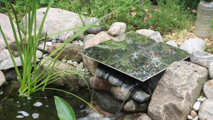 Waterfall spillway and garden pond.