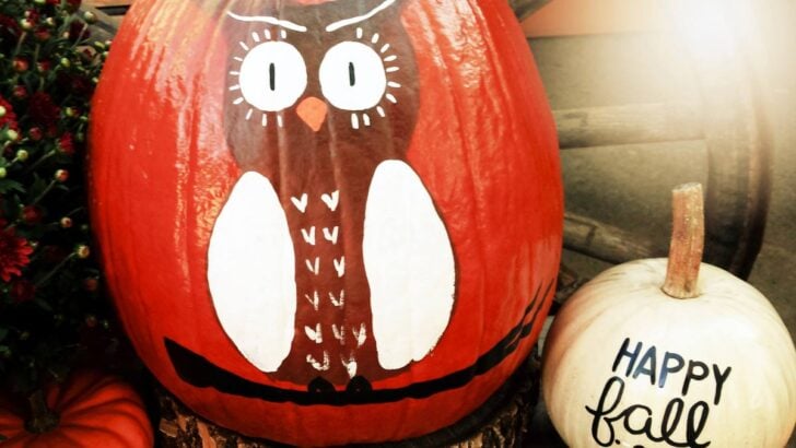 Painted Halloween pumpkins.