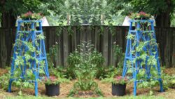 How to Build a Wooden Garden Obelisk (Step-by-Step)