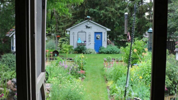 Backyard flower garden with shed.