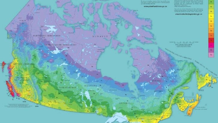 Hardiness zone map of Canada.