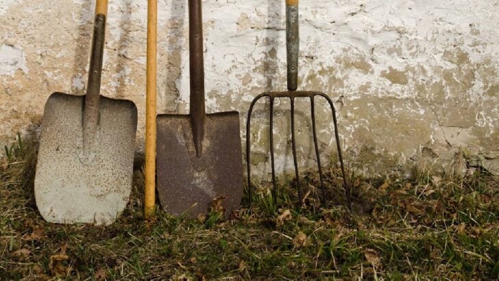 Garden shovels leaning against a wall.