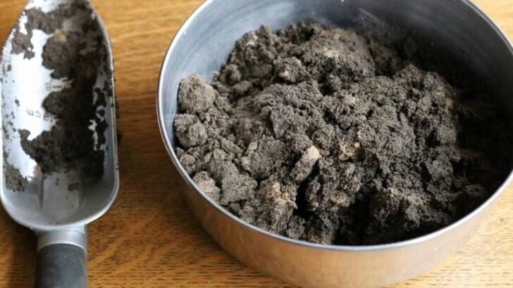 Garden soil ready for testing.