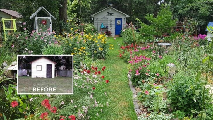 Garden before and after planting large flower and vegetable garden.