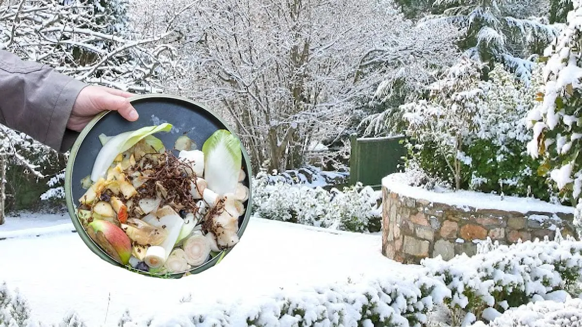 How To Compost In The Winter (Easy Method) — Empress of Dirt