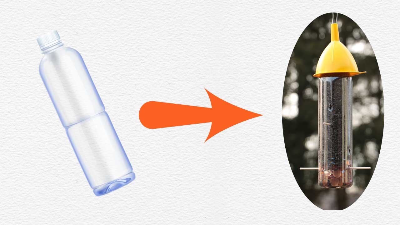 A bird feeder made from a plastic water bottle.