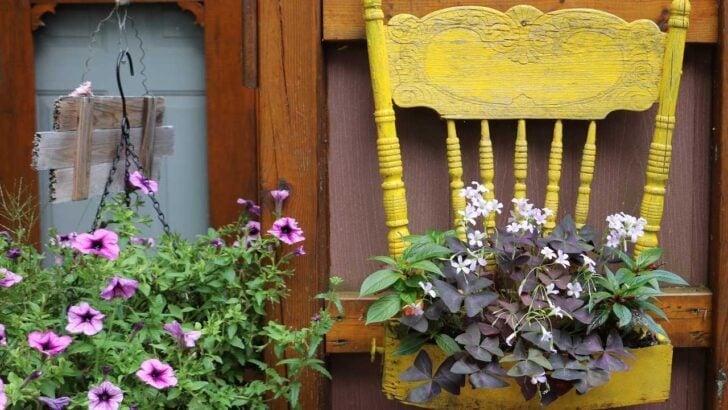 Yellow garden art chair with flowers hanging on fence.