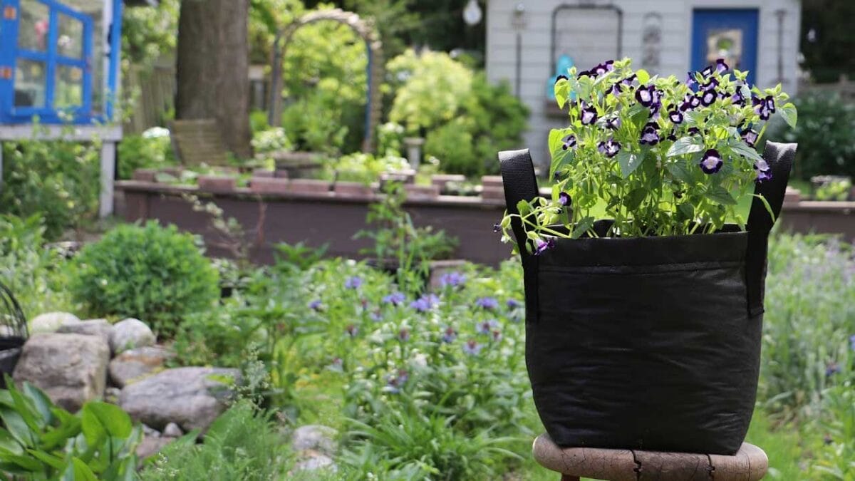 Homemade grow bag planted with flowers.