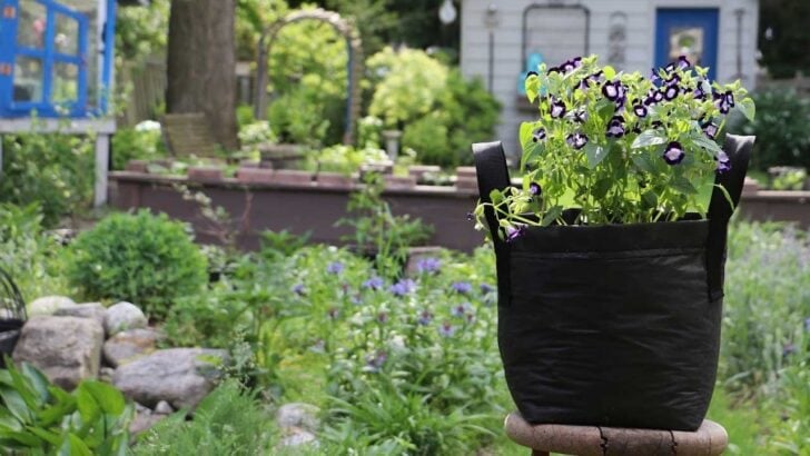 Homemade grow bag planted with flowers.