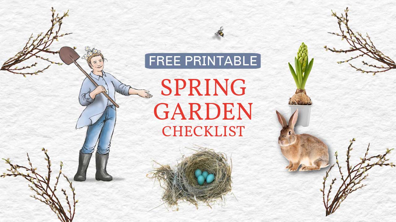 Empress of Dirt in the spring garden.