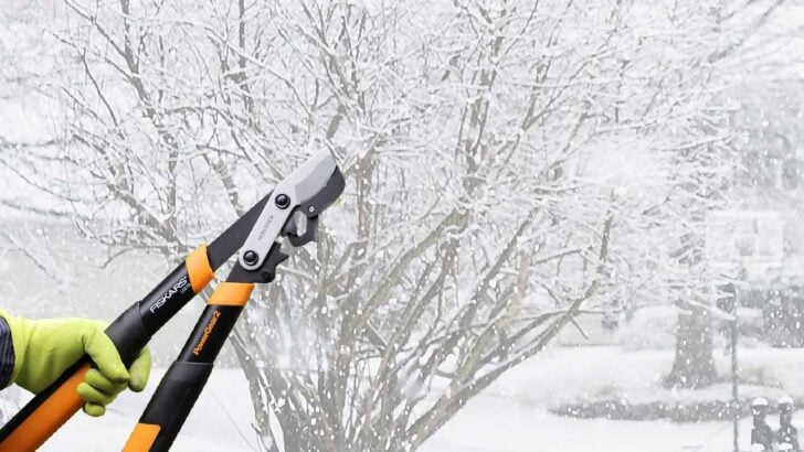 Hand holding tree lopper pruners in a snowy winter garden.