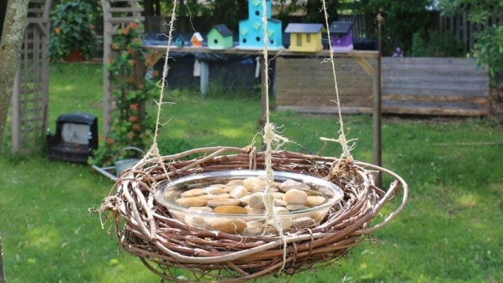 Homemade butterfly feeder hanging from a tree branch in the garden.