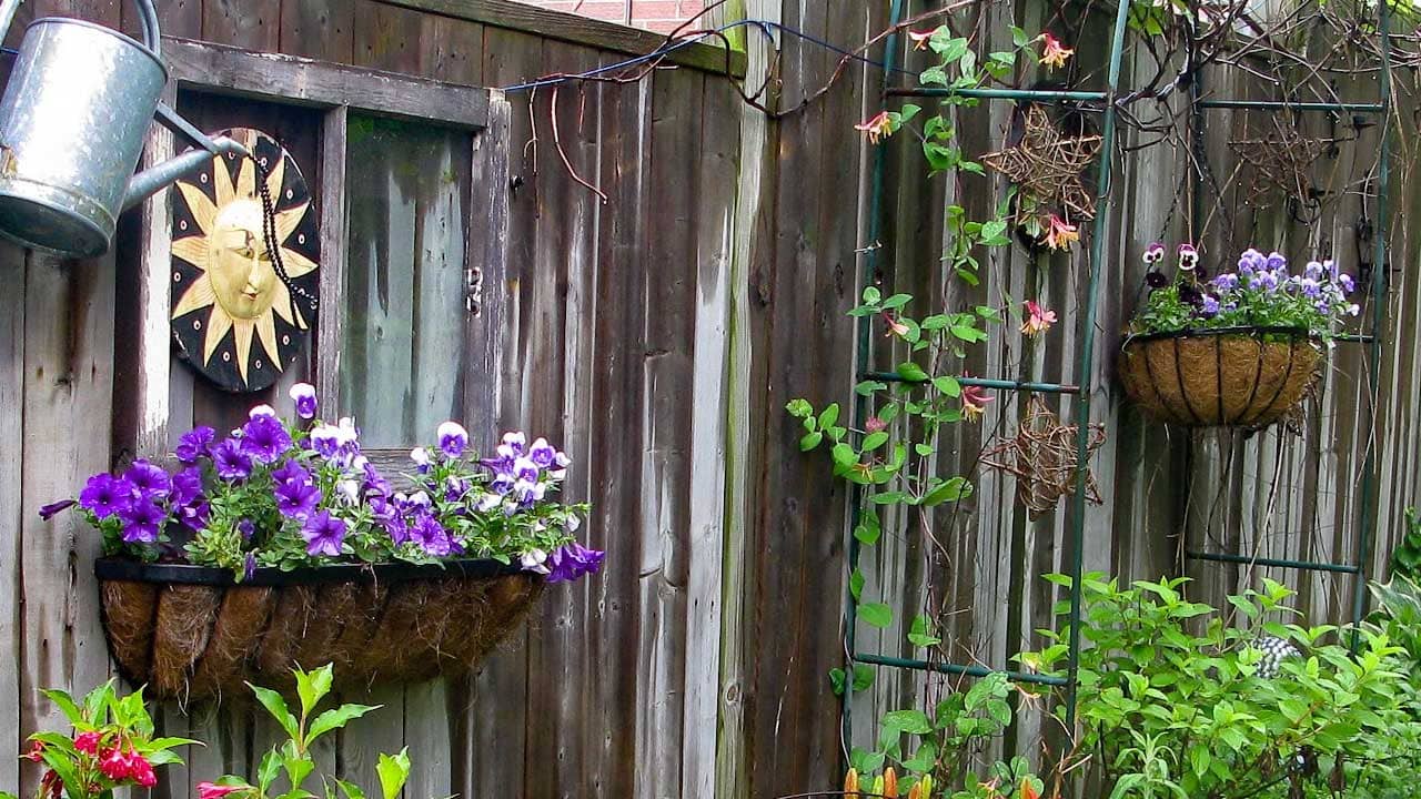 Garden fence with creative art and window boxes of purple pansies.