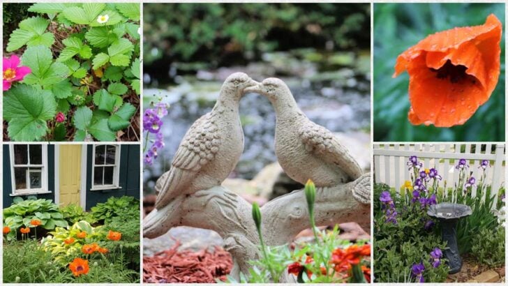 Collage of gardens during mid-summer