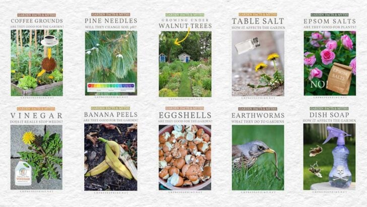 Examples of popular garden myths.