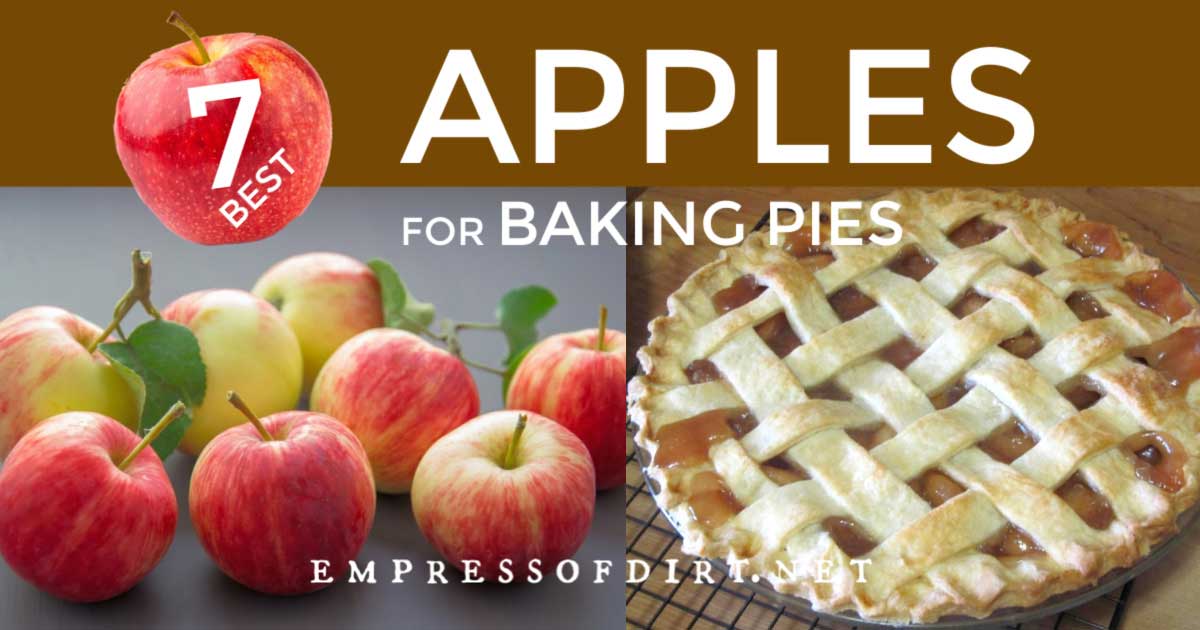 If You Want the Best Pie Start with the Right Apples Empress of Dirt