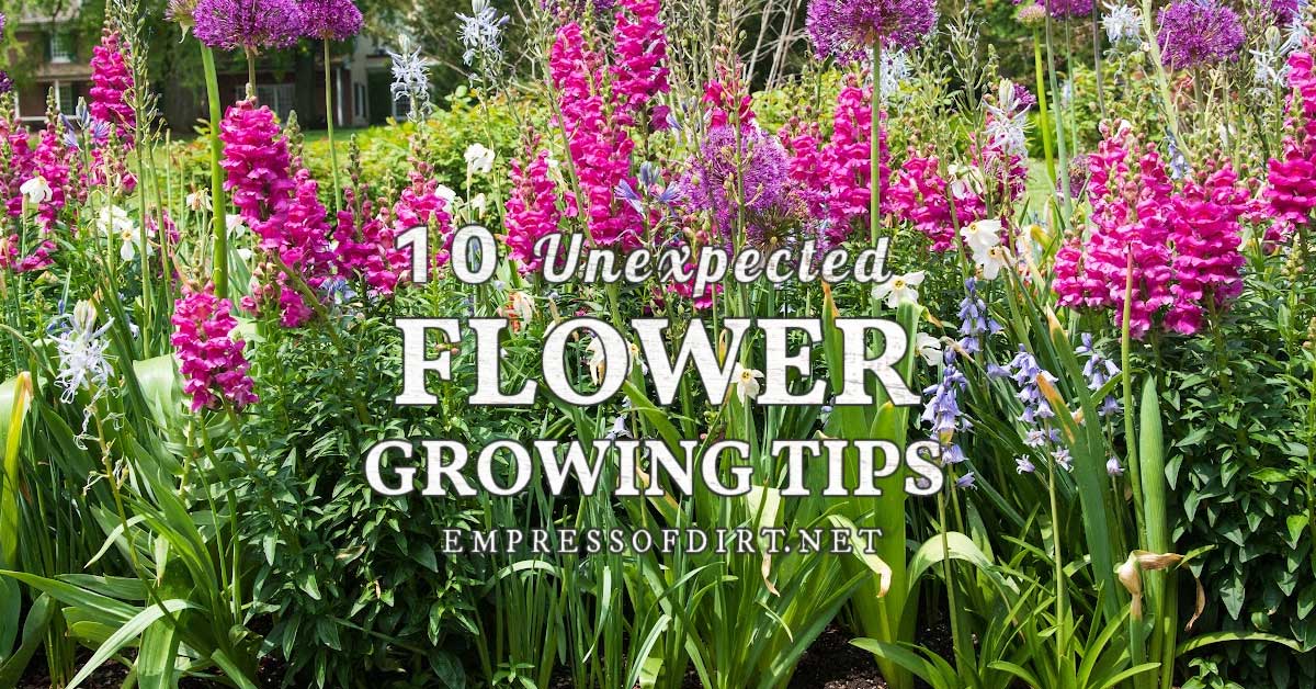 10 Flower Growing Secrets & Common Mistakes