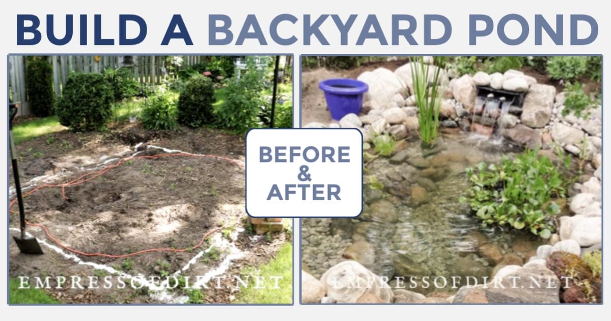 How to Build a Backyard Garden Pond | Empress of Dirt