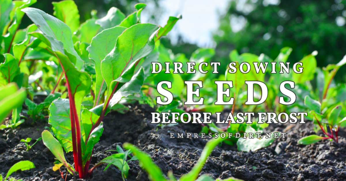 Tips For Direct Sowing Seeds Before Last Frost Empress of Dirt