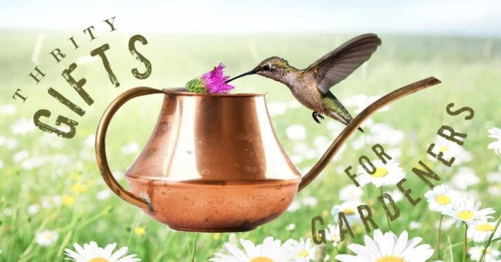 Gift guide for gardeners