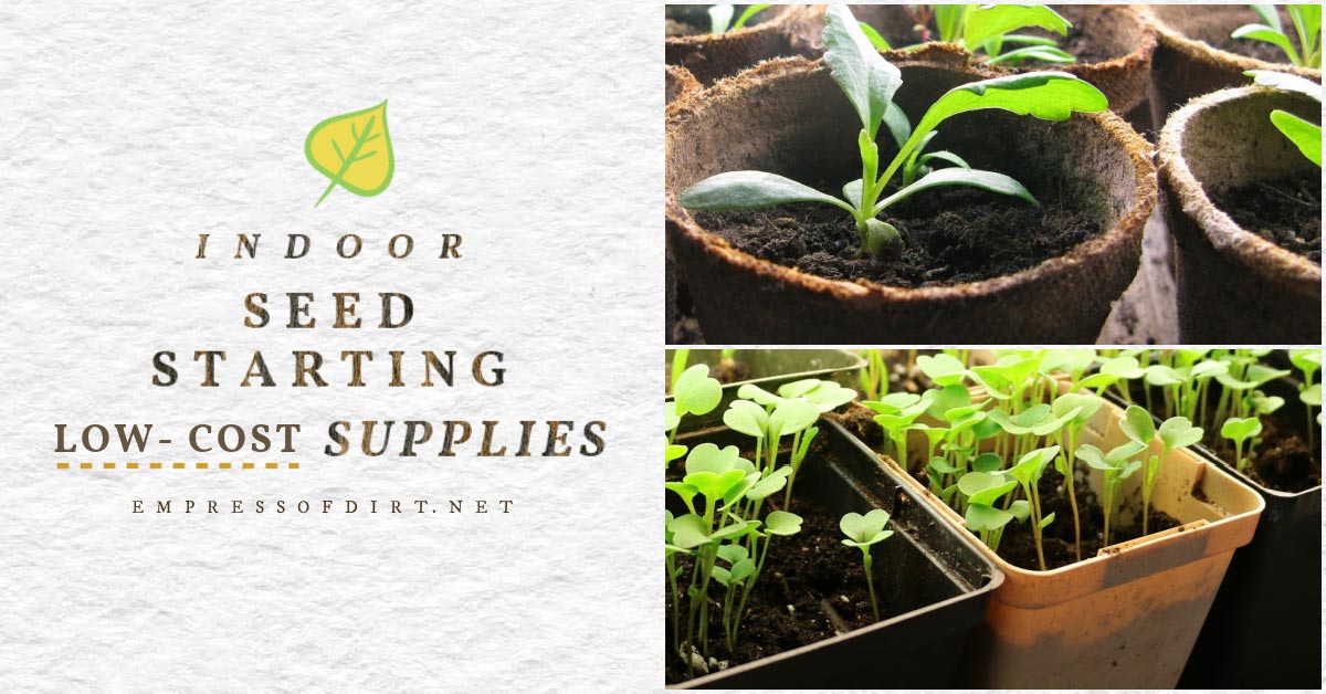 Best LowCost Indoor Seed Starting Supplies Empress of Dirt
