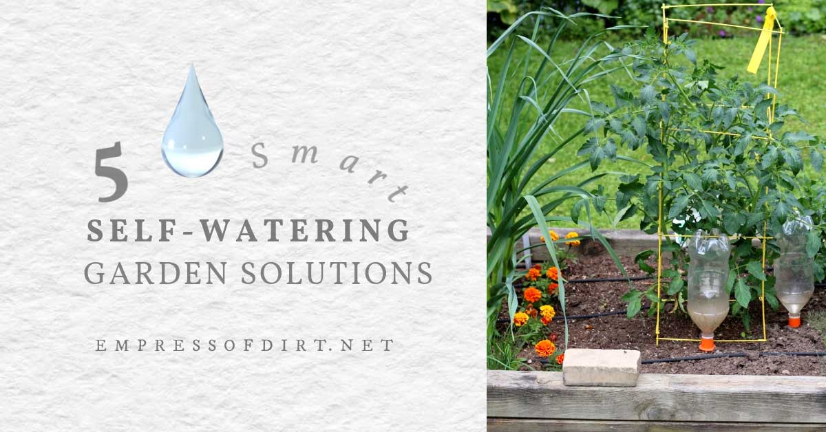 Smart & Simple Ways to Automate Your Garden Watering — Empress of Dirt