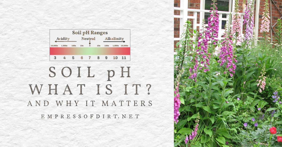 What is Soil pH and How to Work With It — Empress of Dirt