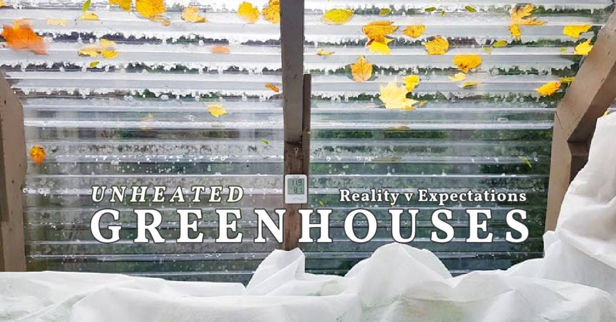 12 Practical & Surprising Ways to Use a Greenhouse YearRound — Empress