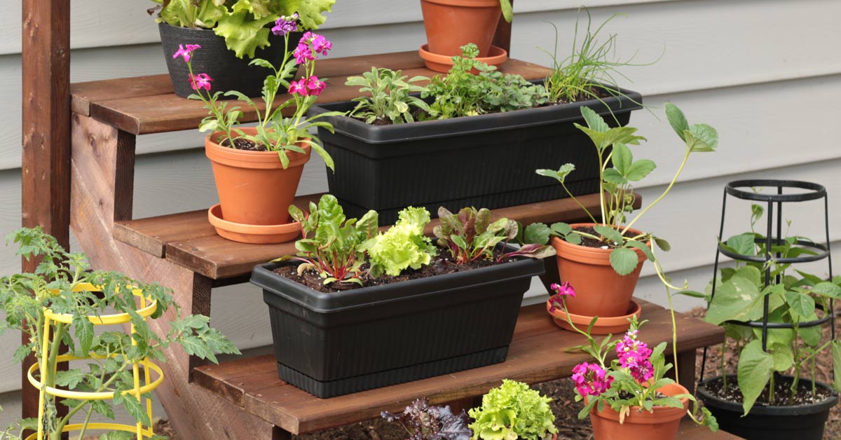 How To Build A Simple Staircase Plant Stand Empress Of Dirt