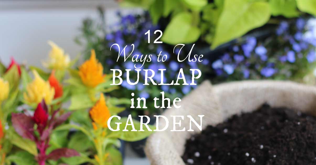12 Ways to Use Burlap in the Garden + Craft & Decor Ideas Empress of Dirt