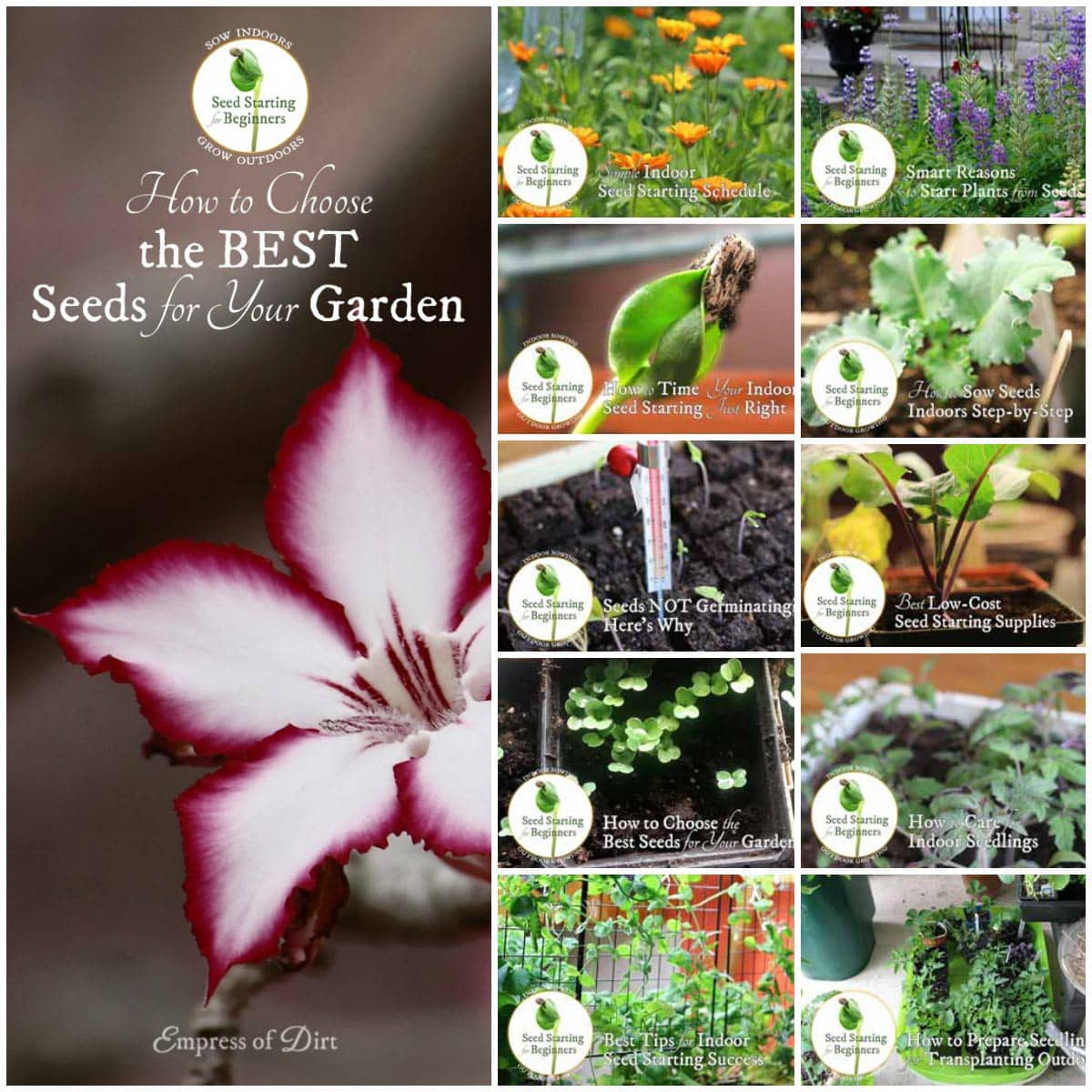 How to Choose the Best Seeds for Your Garden Empress of Dirt